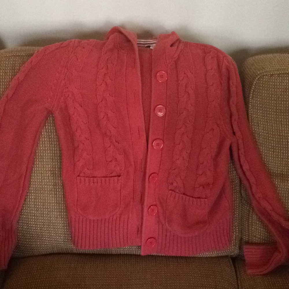 Coral hooded loft sweater